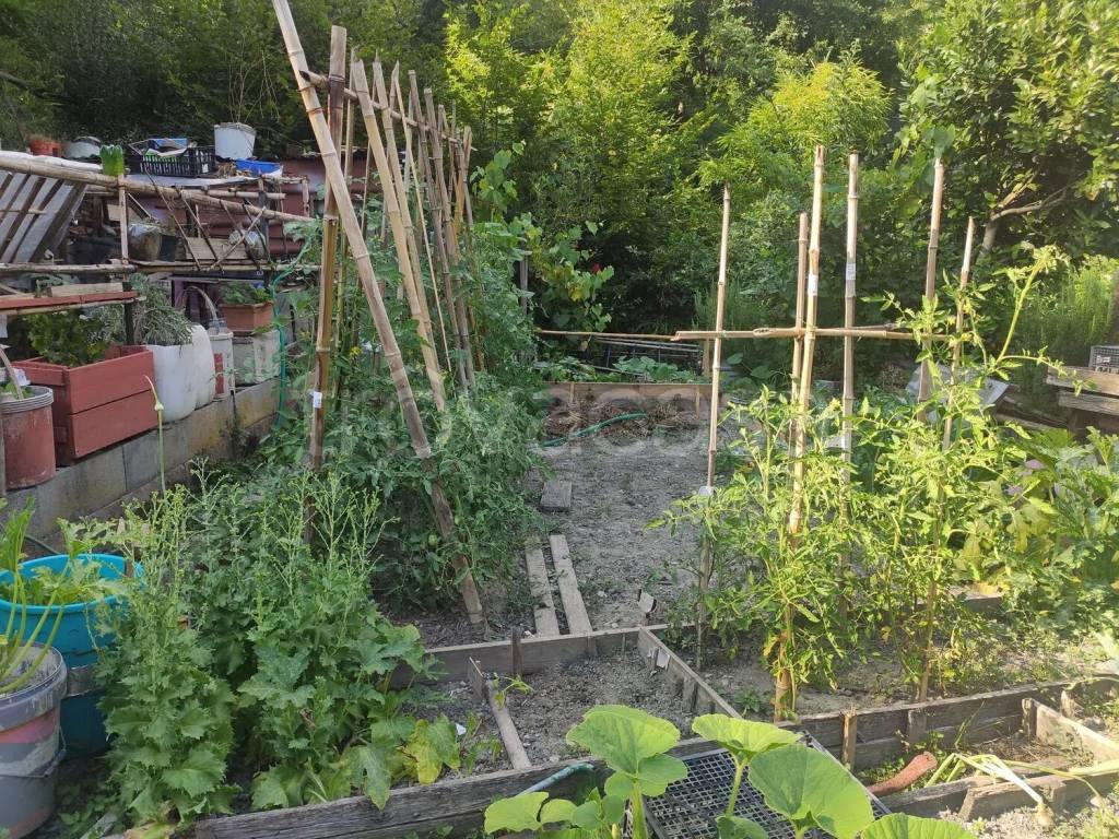 immagine annuncio 13 di 14