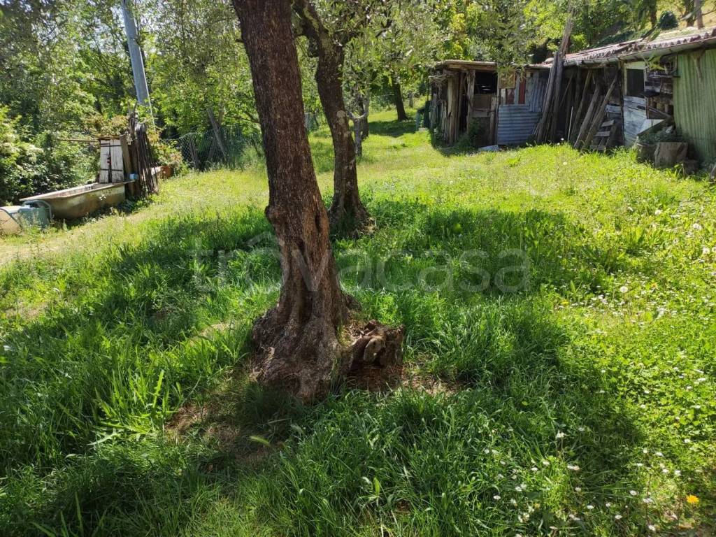 immagine annuncio 6 di 7