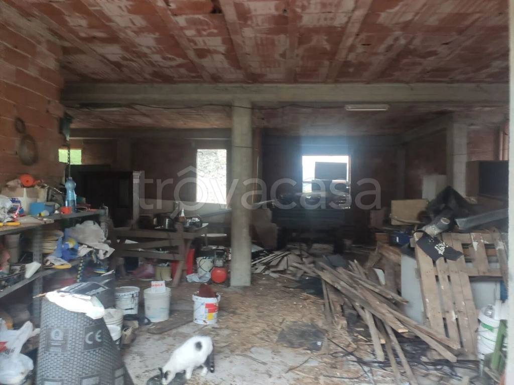 immagine annuncio 11 di 14