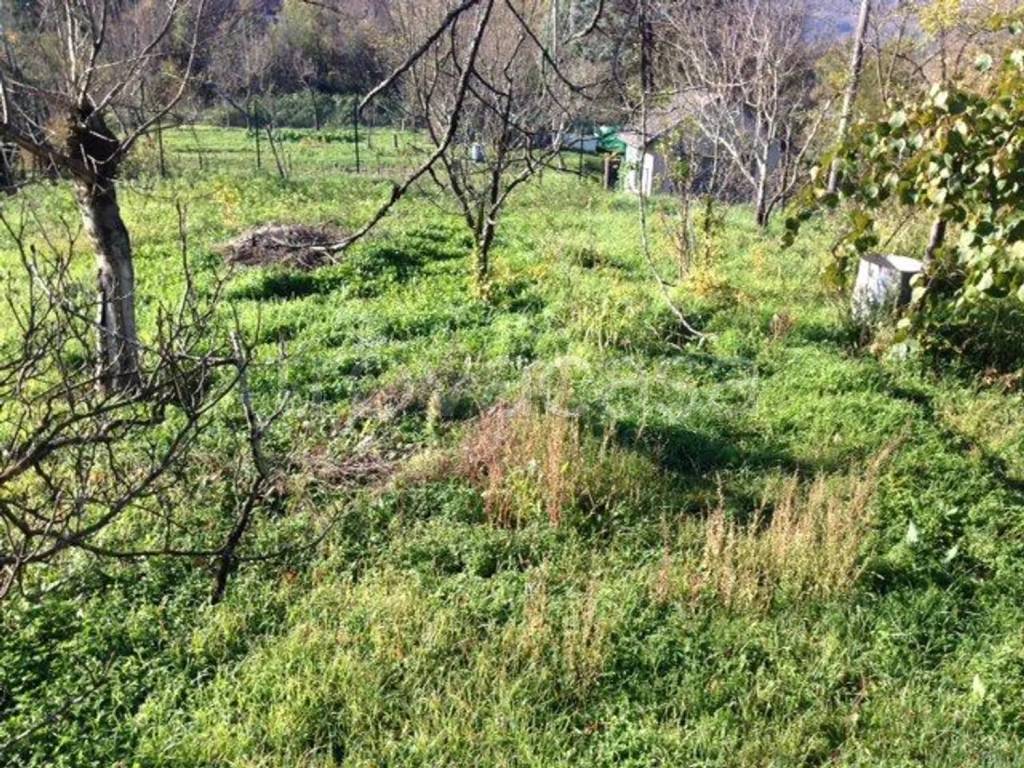 immagine annuncio 9 di 14