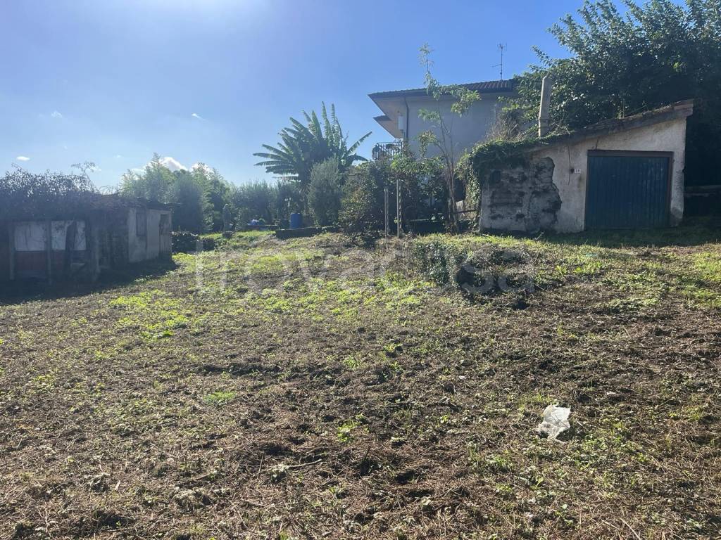 immagine annuncio 1 di 7