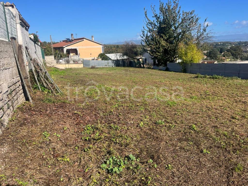 immagine annuncio 3 di 7