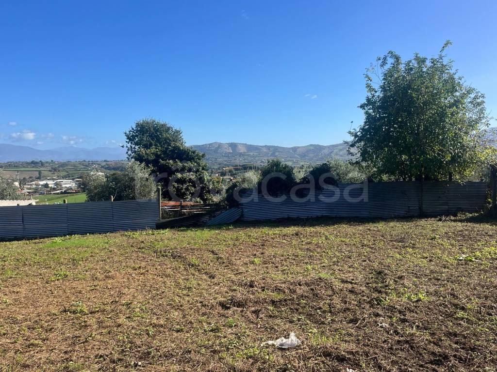 immagine annuncio 5 di 7