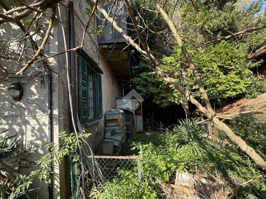 immagine annuncio 4 di 13