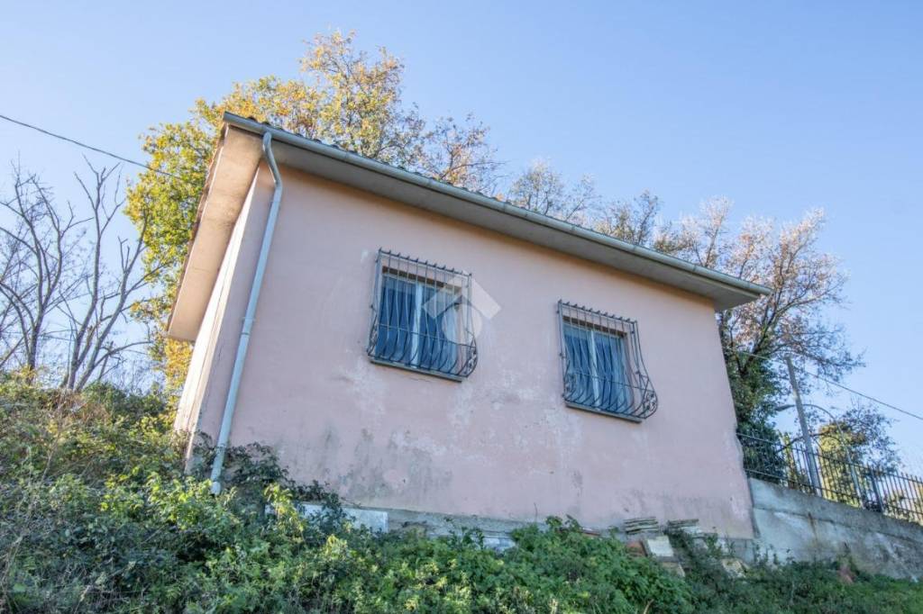 immagine annuncio 2 di 14