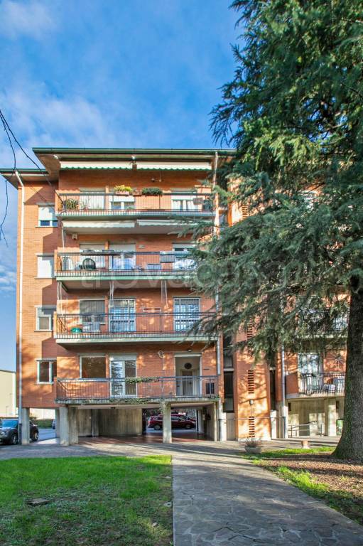 immagine annuncio 13 di 15