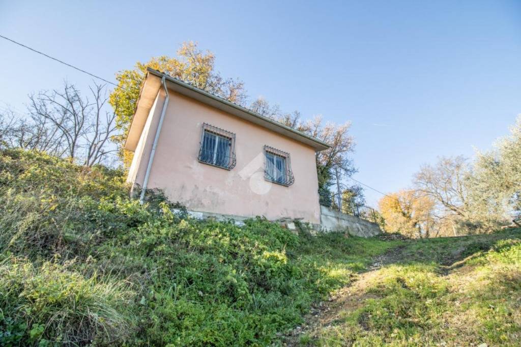 immagine annuncio 11 di 14