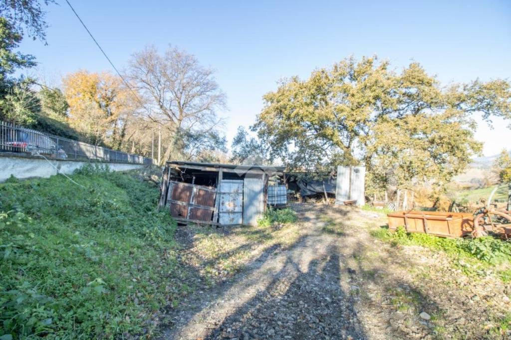 immagine annuncio 12 di 14