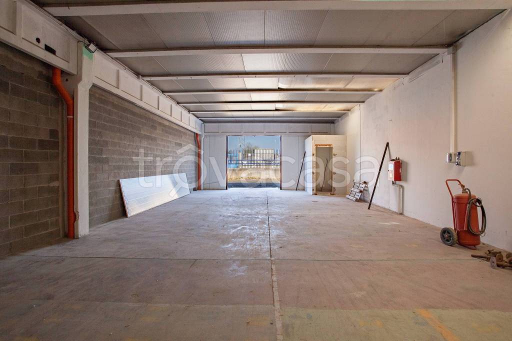 immagine annuncio 5 di 10