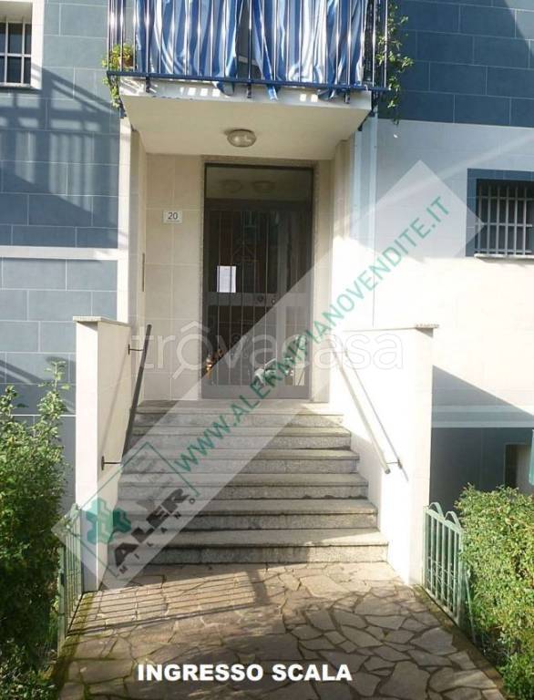 immagine annuncio 3 di 15