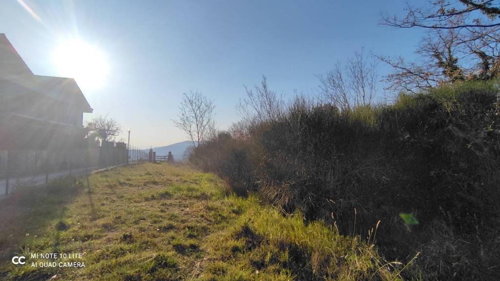 immagine annuncio 9 di 11