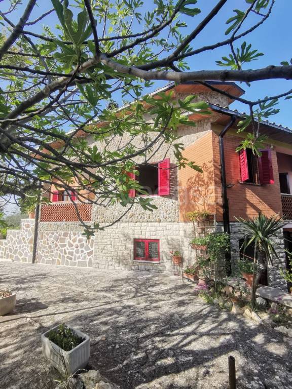 immagine annuncio 12 di 14