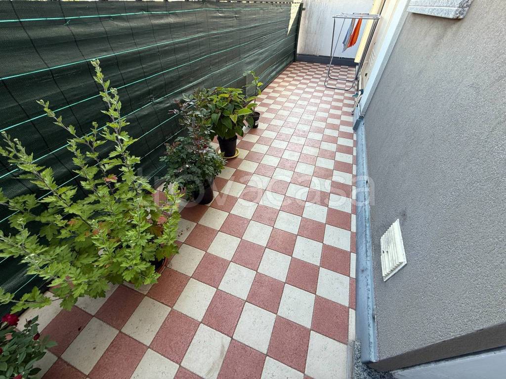 immagine annuncio 5 di 12