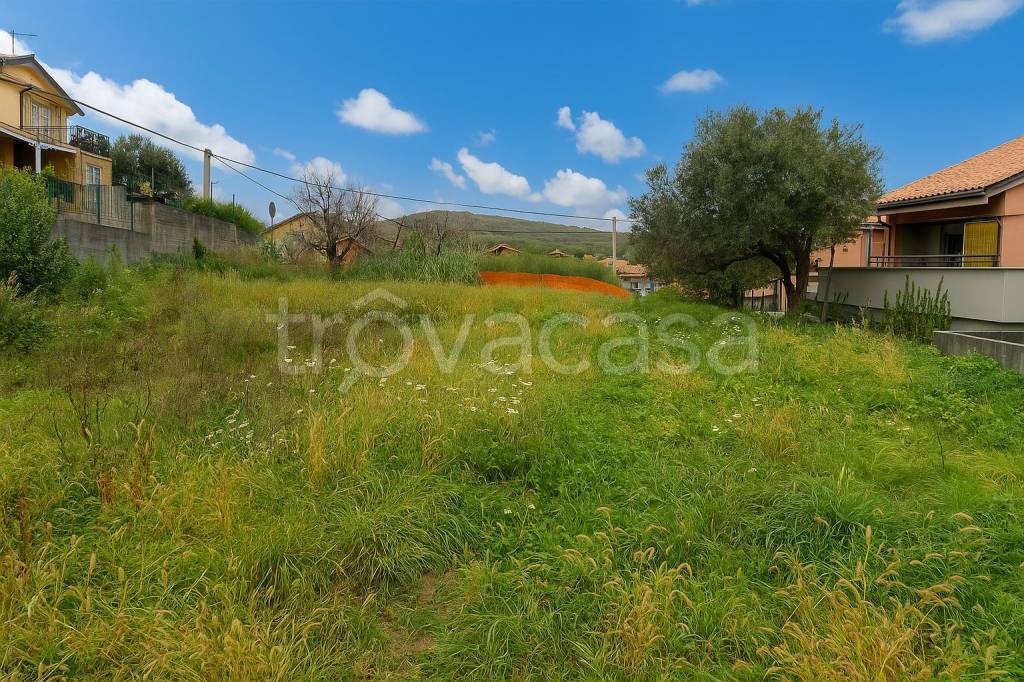 immagine annuncio 1 di 3