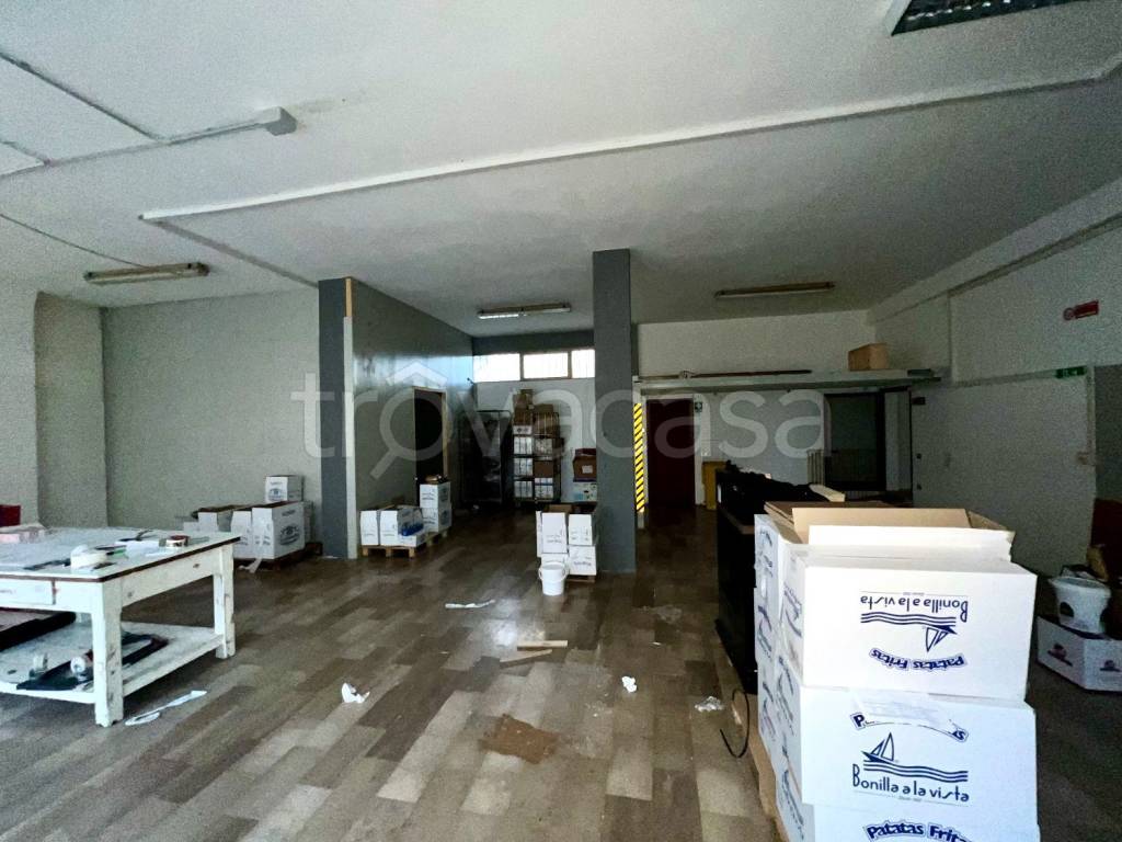 immagine annuncio 2 di 12