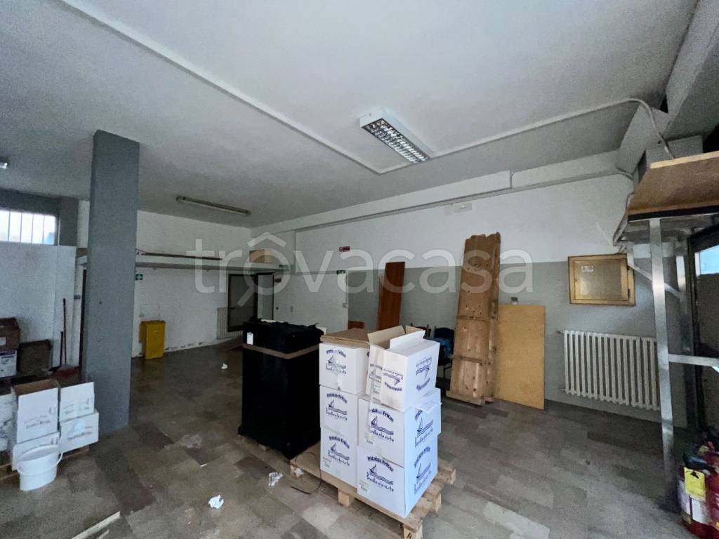 immagine annuncio 3 di 12