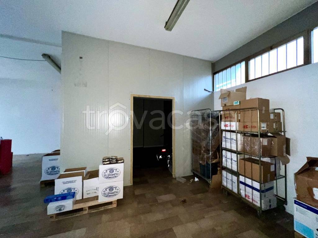 immagine annuncio 4 di 12