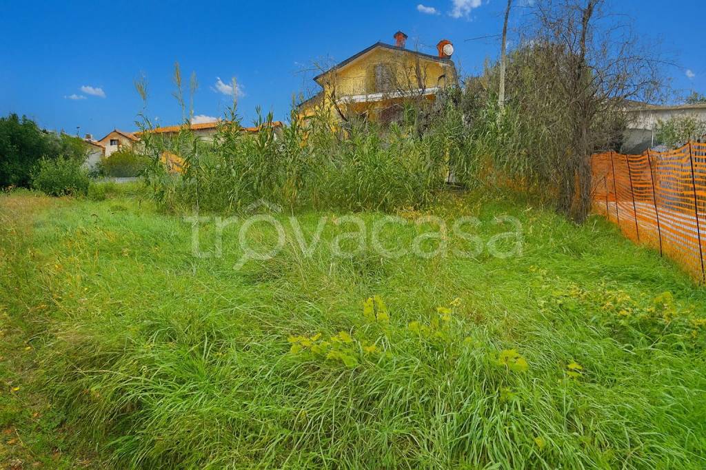 immagine annuncio 2 di 3