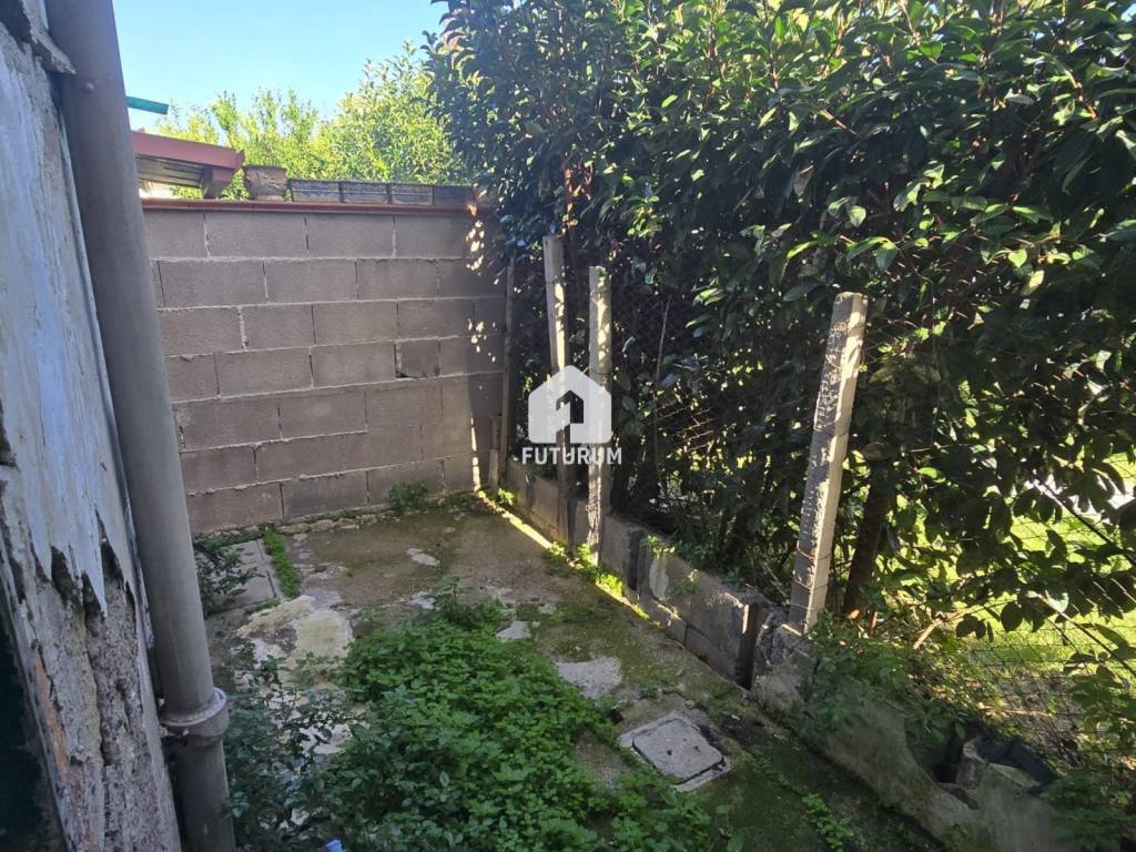 immagine annuncio 1 di 14