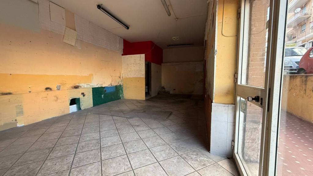 immagine annuncio 2 di 14