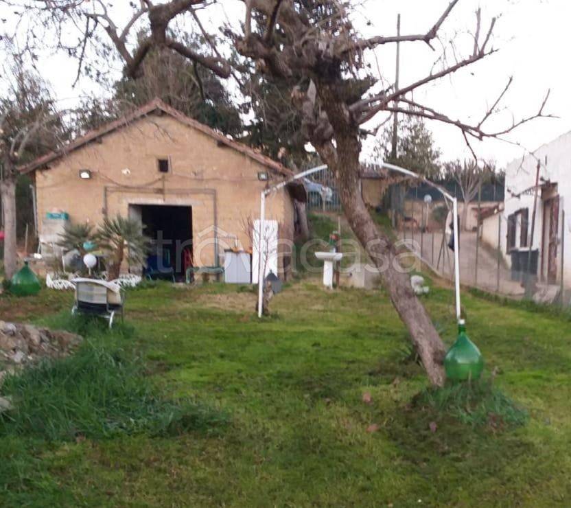 immagine annuncio 6 di 7