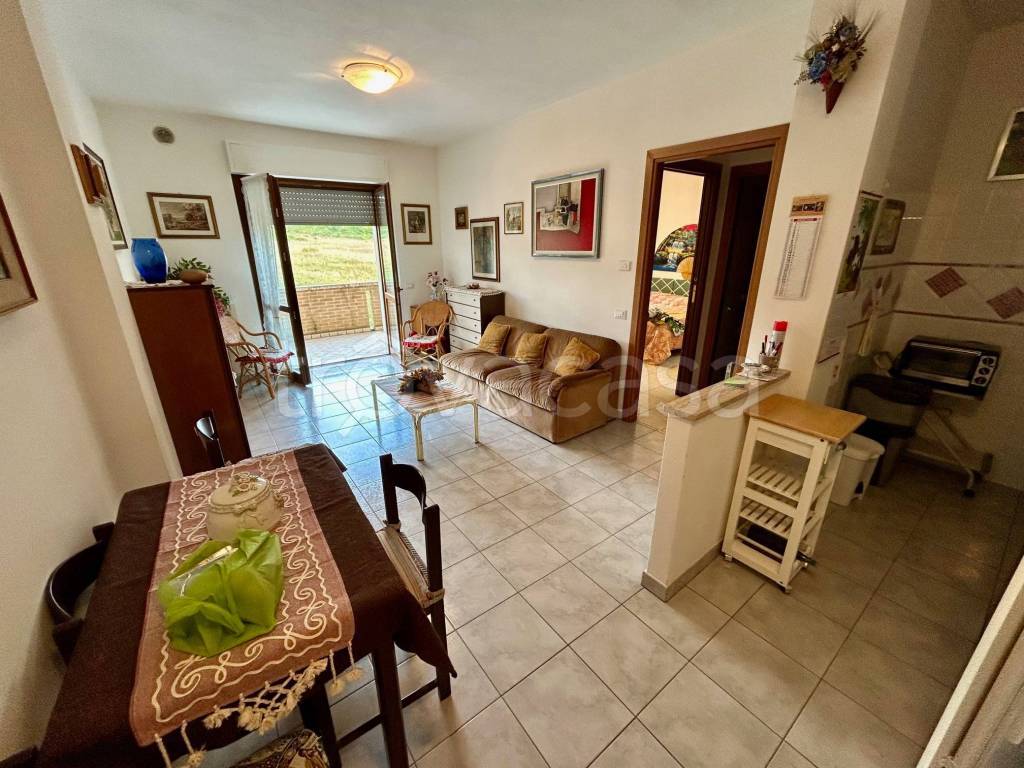 immagine annuncio 8 di 12