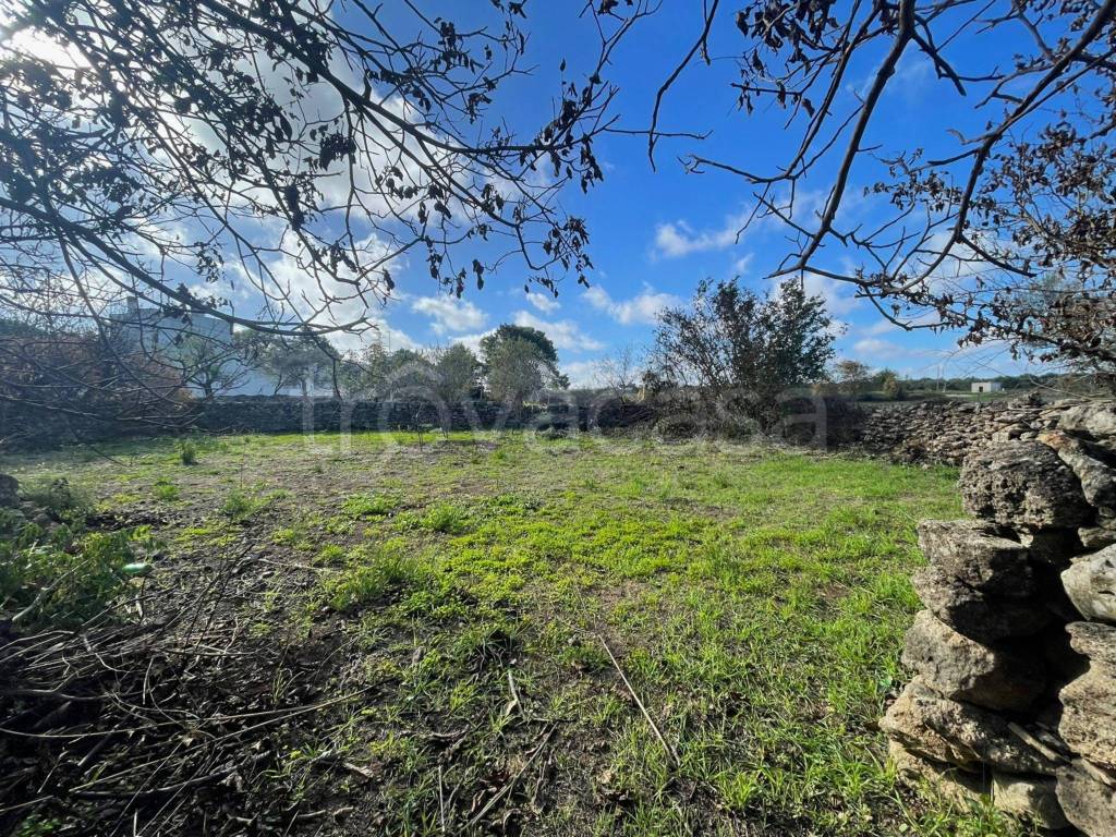 immagine annuncio 12 di 13