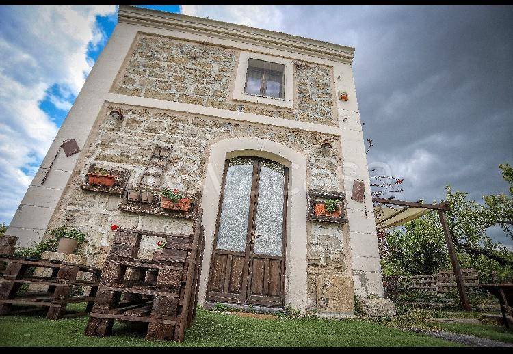 immagine annuncio 2 di 7