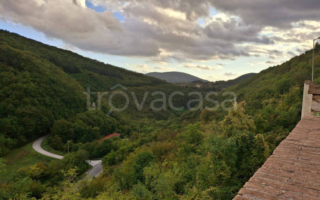 immagine annuncio 3 di 6