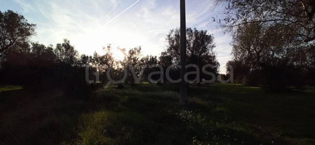 immagine annuncio 6 di 9