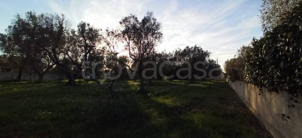 immagine annuncio 7 di 9