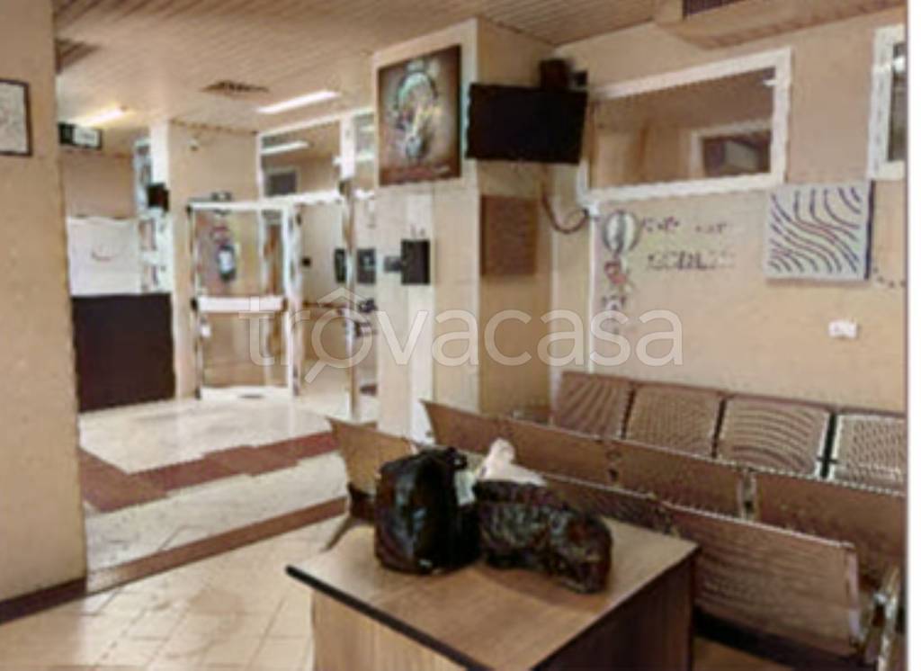 immagine annuncio 4 di 12