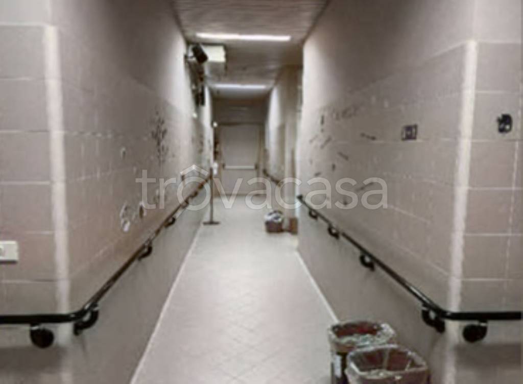 immagine annuncio 6 di 12