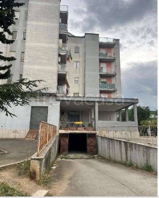 immagine annuncio 4 di 13