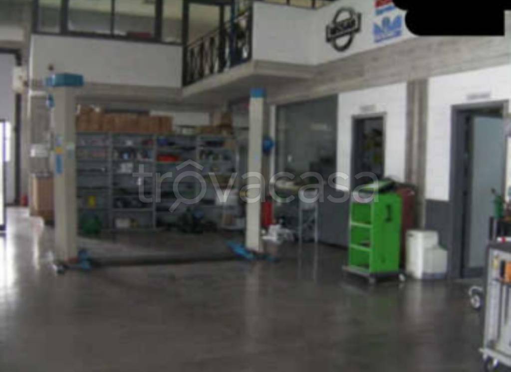 immagine annuncio 12 di 15