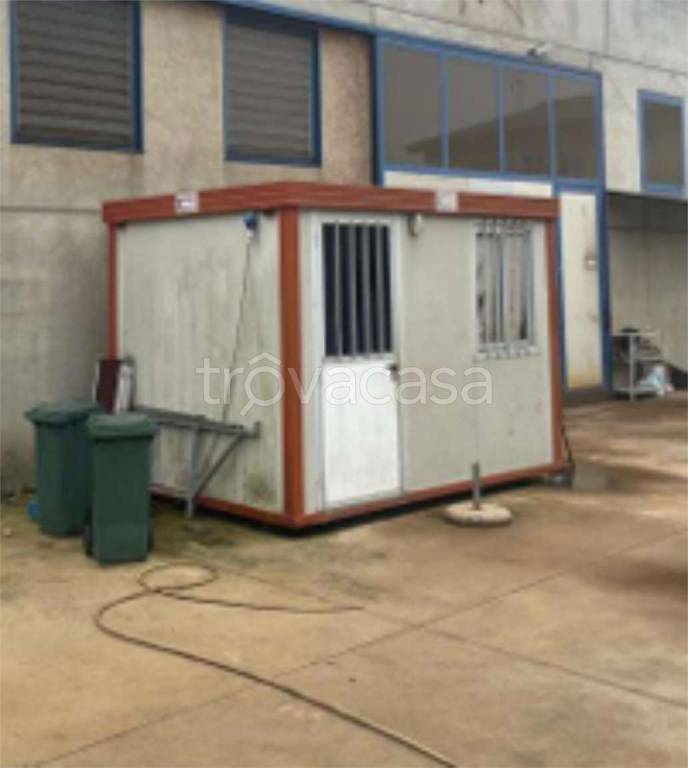 immagine annuncio 4 di 12