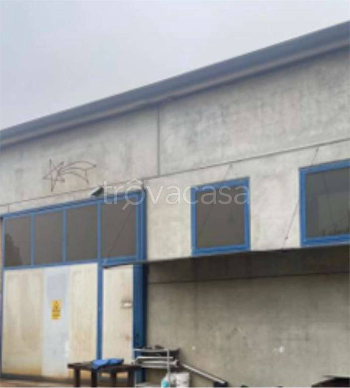 immagine annuncio 5 di 12