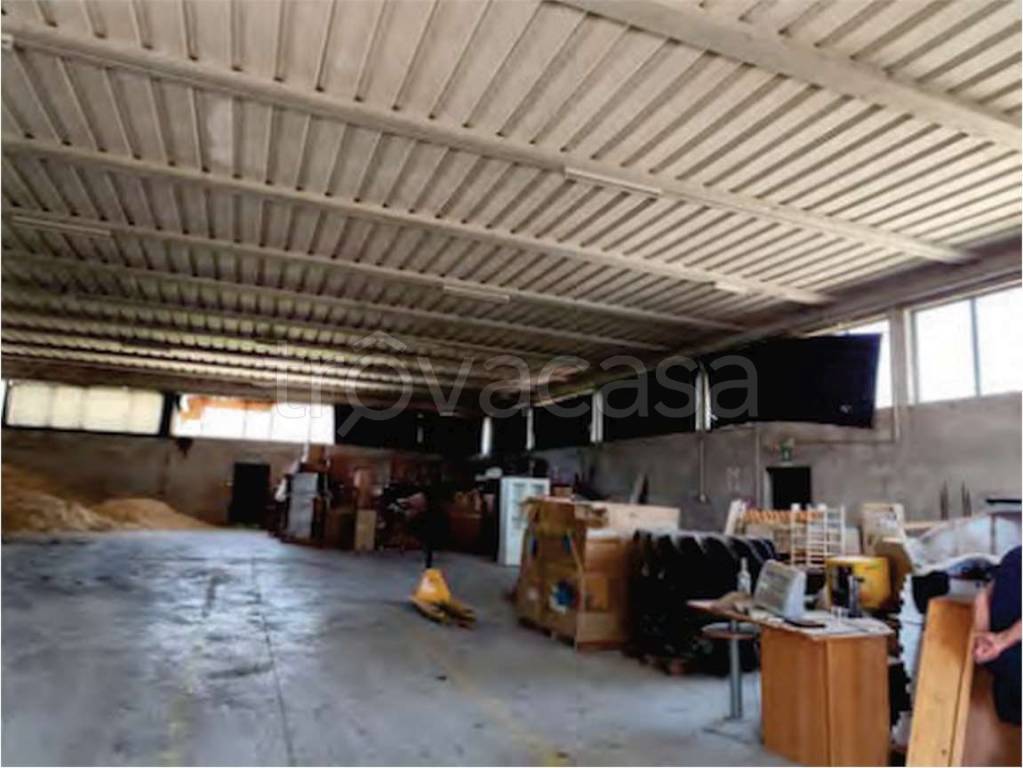 immagine annuncio 10 di 11