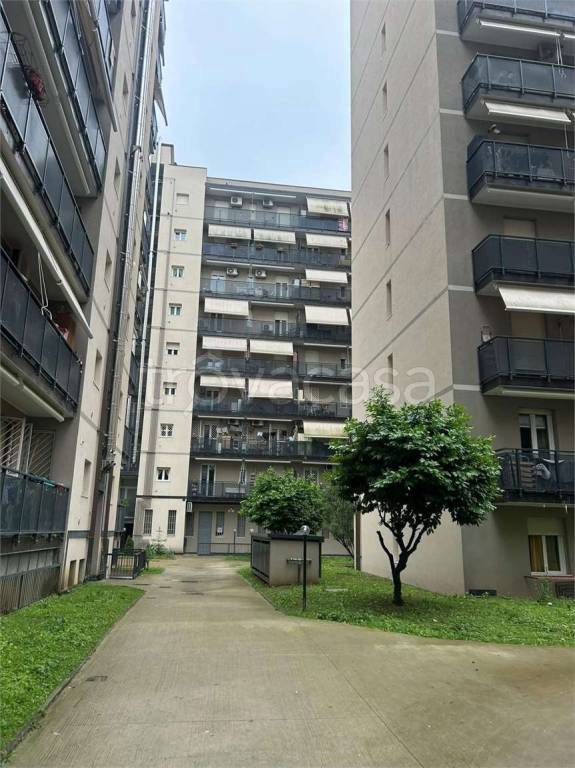 immagine annuncio 3 di 12