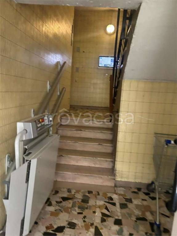 immagine annuncio 4 di 12