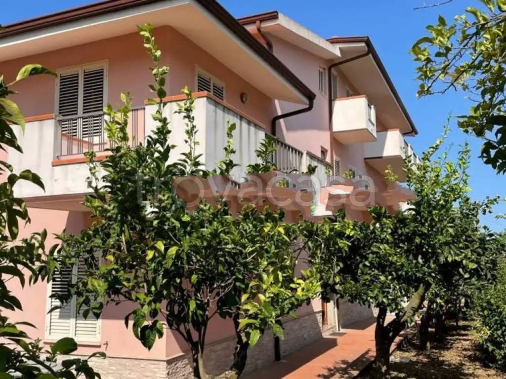 immagine annuncio 6 di 9