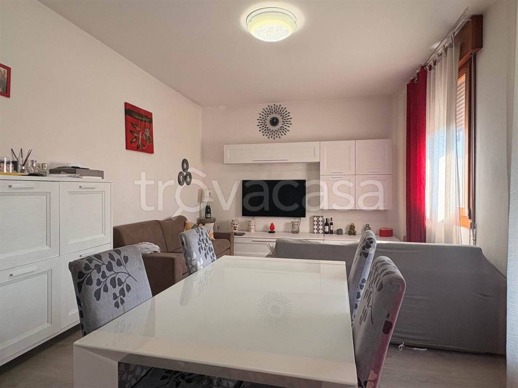 immagine annuncio 1 di 14