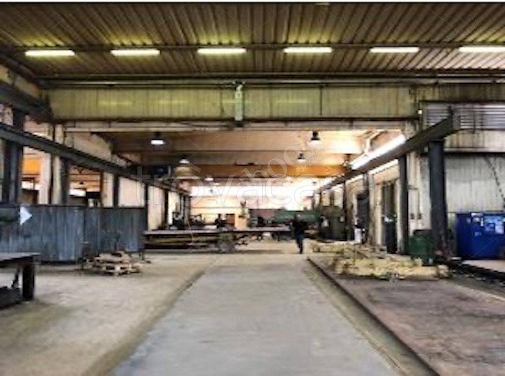 immagine annuncio 9 di 15