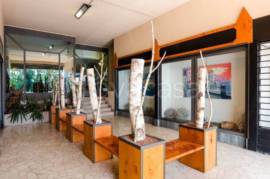 immagine annuncio 9 di 11