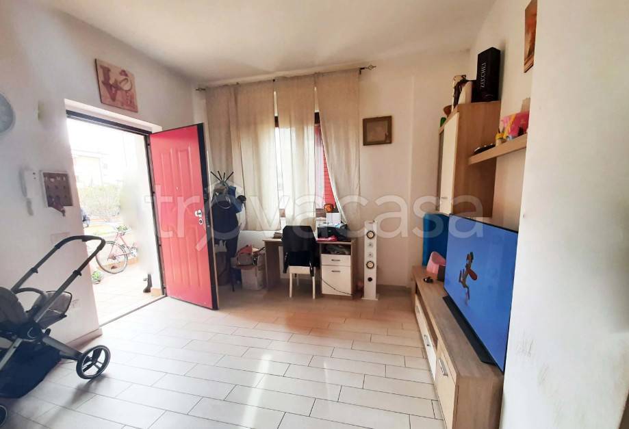 immagine annuncio 9 di 15