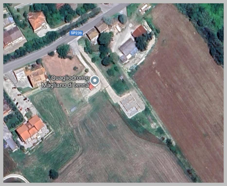 immagine annuncio 10 di 15