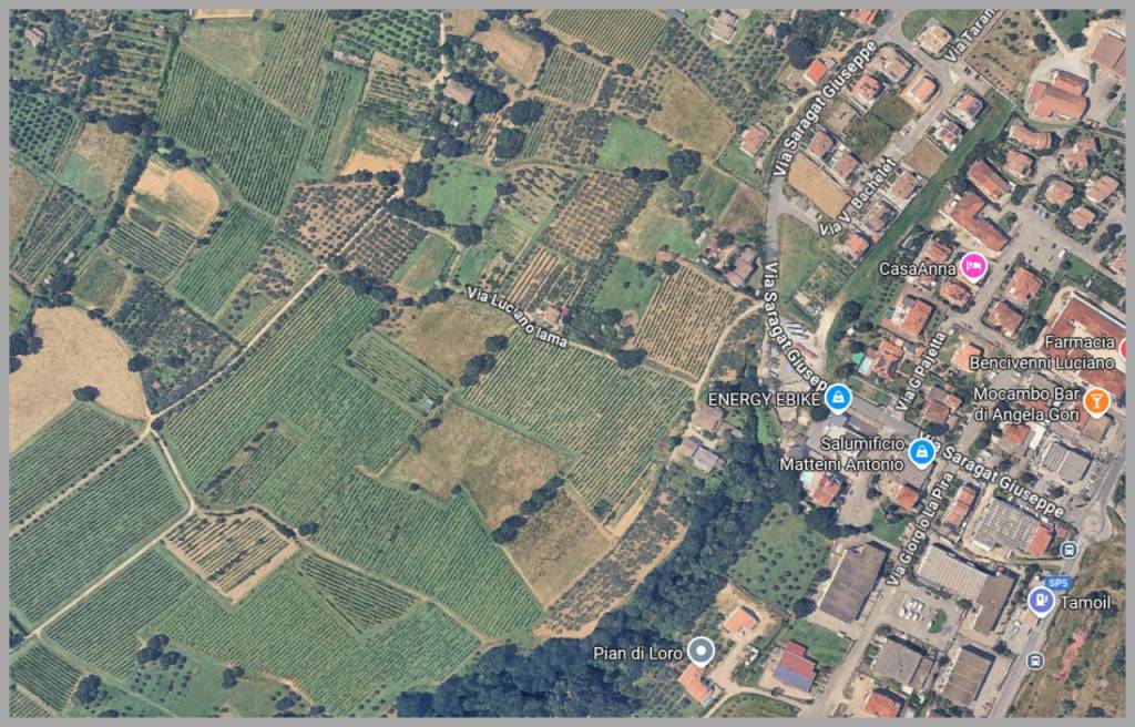 immagine annuncio 12 di 15