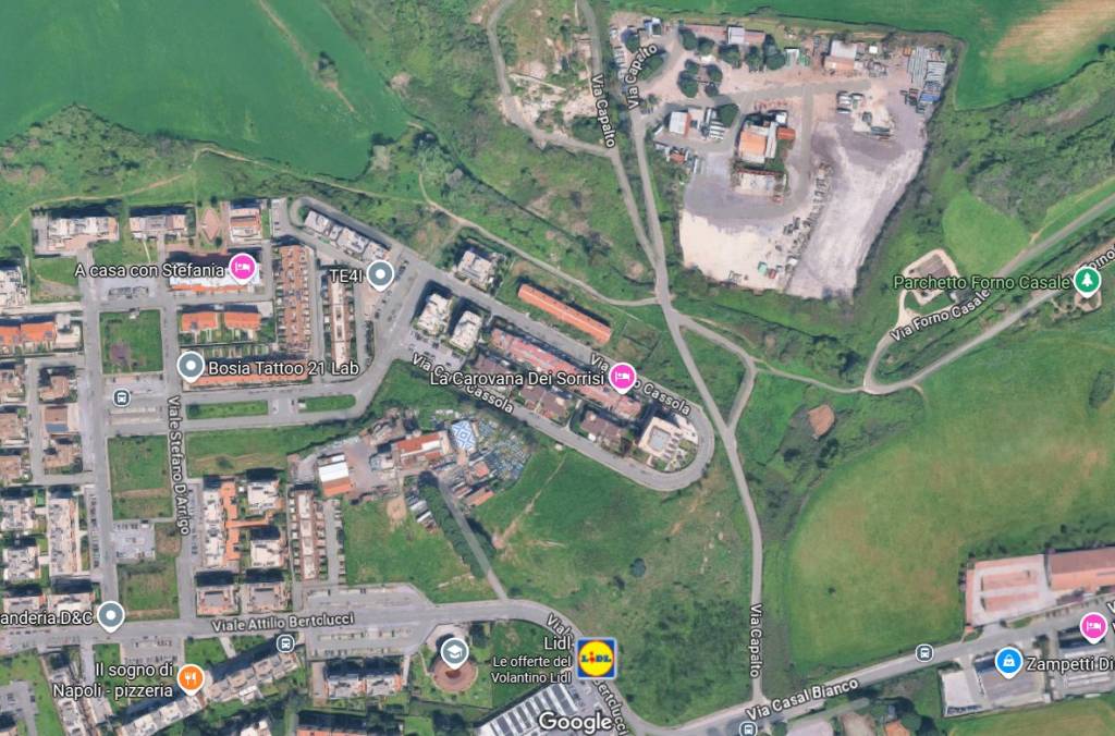 immagine annuncio 3 di 15