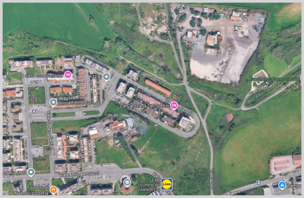 immagine annuncio 12 di 15