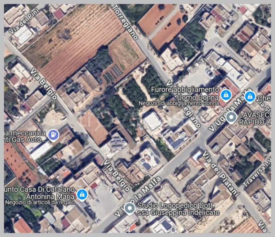 immagine annuncio 14 di 15